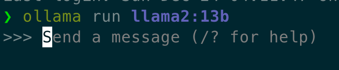 After calling ollama run llama2:13b I can send prompts to the model.